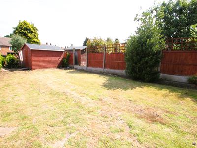 Picture 12